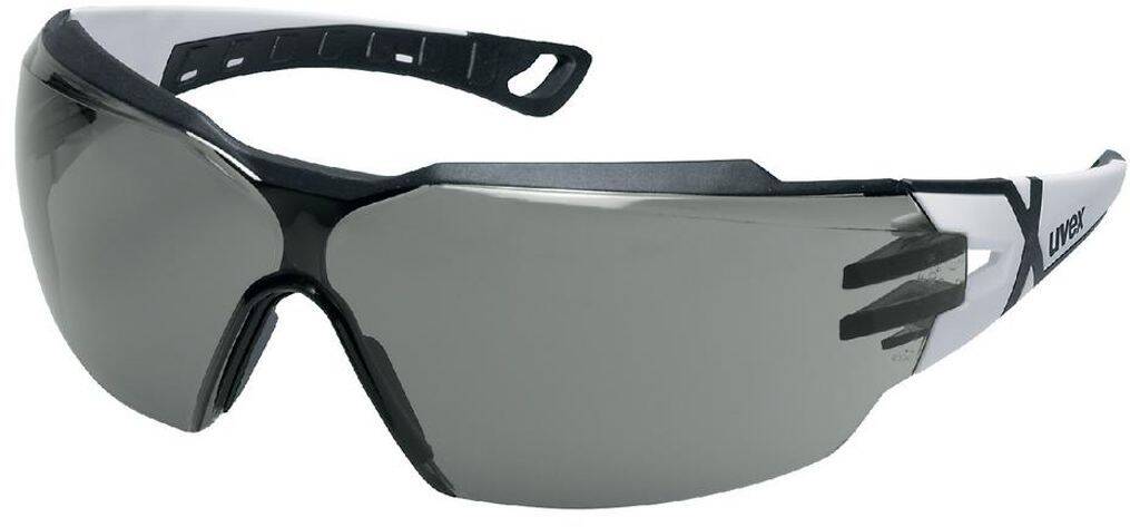 Lunettes protection Pheos CX2