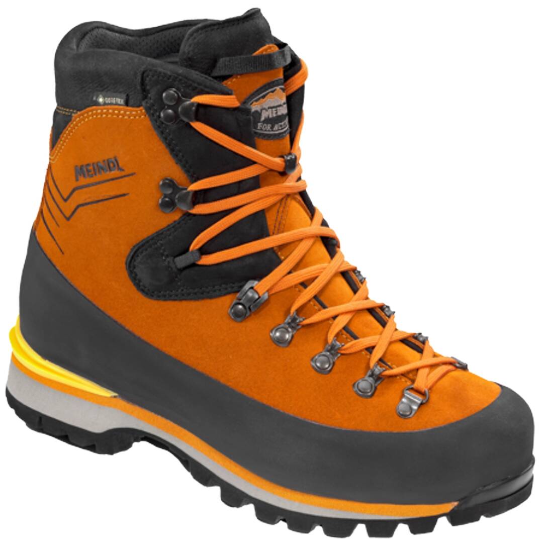 Soulier Alta Rocca GTX